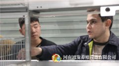 雞籠養(yǎng)雞合理的配合日糧