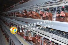 鴻發(fā)雞日糧配制的步驟