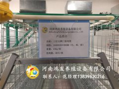 育雛籠的介紹