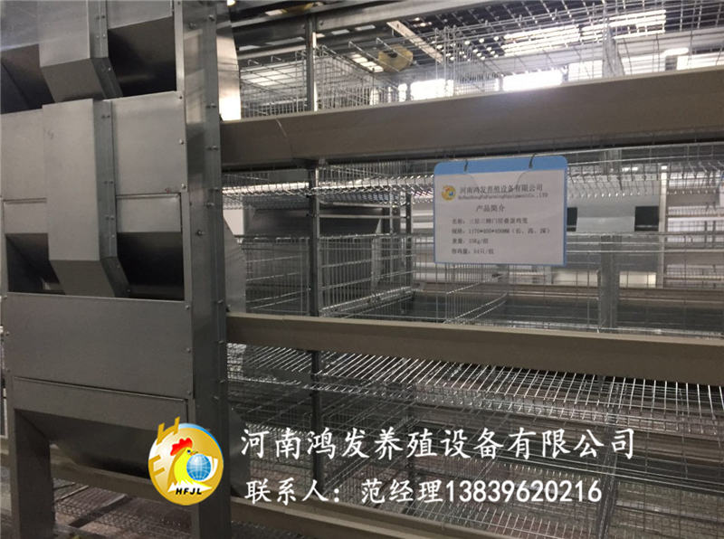 層疊蛋雞籠,階梯式雞籠