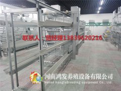 蛋雞籠蛋雞場安全的核心！ ！