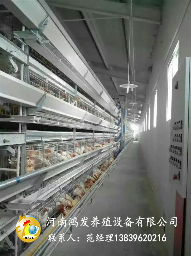 蛋雞籠價(jià)格,雞籠生產(chǎn)廠家,雞籠設(shè)備