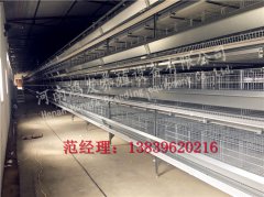 防止蛋雞籠蛋雞一次性污染的措施：